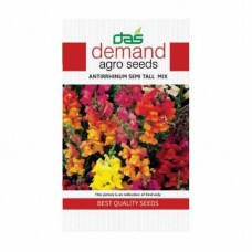 Demand agro seeds ( Antirrhinum semi tall mix )