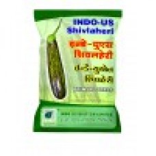 भारत-अमेरिका-शालवाहिनी BRINJAL