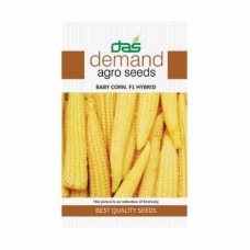 Demand agro seeds ( Baby Corn F1 Hybrid ) 25 Seeds