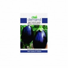 Demand agro hybrid seeds ( Brinjal black beauty )