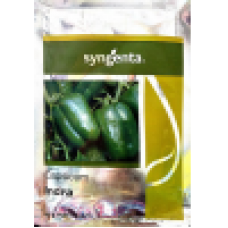 INDRA CAPSICUM