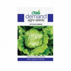 Demand agro seeds ( Lettuce Iceberg ) 300 Seeds