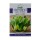Demand agro seeds ( Pakchol - F1 hybrid ) 100 Seeds