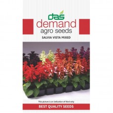 Demand agro seeds ( salvia vista mix ) 30 Seeds