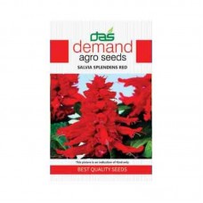 Demand agro seeds ( Salvia splendens red )