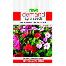 Demand agro seeds ( Vinca - Pacefica XP dwarf mix ) 40 Seeds