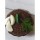Javas Godlimb Chutney (Flax Seeds Curry Leaves )