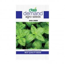 Demand agro seeds ( basil green ) 300 Seeds