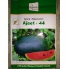 ajeet water melon 44