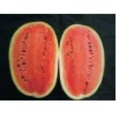 Ankur sugar cube watermelon-50gm