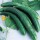 Green Cucumber F1 Hybrid vegetable Seeds