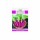 DAS agro seeds ( Radish F1 Long red )