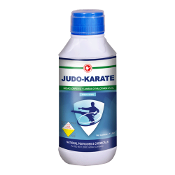 Judo Karate - Imidacloprid 6% + Labdacyhalothrin 4% SL (insecticide)