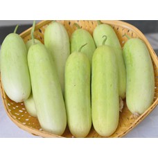 अंकुर हाइब्रिड ककड़ी-ए 7 सब्जी बीज- 25 जीआरएम