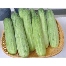 अंकुर हाइब्रिड ककड़ी रागिनी सब्जी बीज- 25 जीआरएम