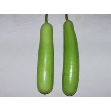 अंकुर हाइब्रिड बोतल gourd- अमित (10 ग्राम) सब्जी बीज