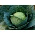 Cabbage Seeds (6)