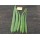 Ankur Hybrid ridge gourd-Latika (10g) vegetable seeds