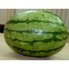 Ankur Hybrid Watermelon– Kashish (25g) vegetable seeds 