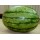 Ankur Hybrid Watermelon– Kashish (25g) vegetable seeds 