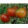 Ankur Hybrid Tomato ARTH Ranveer-(3054) (10g) vegetable seeds