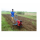 BCS Front TYNE Power Weeder 9 HP