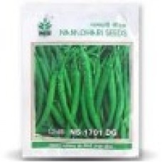 Namdhari Chilli NS 1701 (D.G)