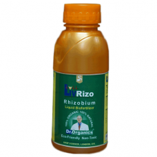 Liv Rizo - Rhizobium Bacteria