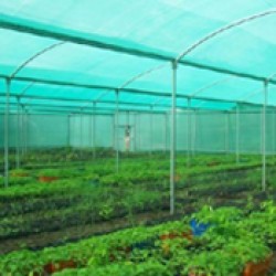 Agro Shed Nets