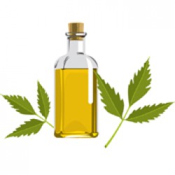 Organic Neem Products