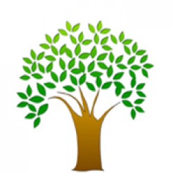 Organic Stimulant