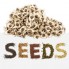Other Seeds (2)