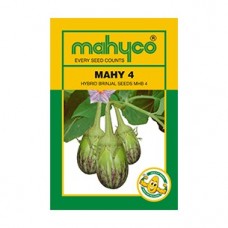 महिको MAHY 4 (MHY 4) (10 ग्राम) बैंगन सब्जी बीज