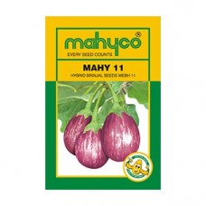 महिको MAHY 11 (एमईबीएच 11) (10 जी) बैंगन सब्जी बीज