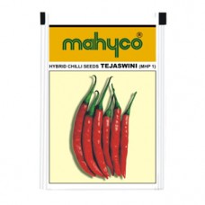 महिको एमएचपी 1- तेजस्विनी (10 ग्राम) मिर्च सब्जी बीज