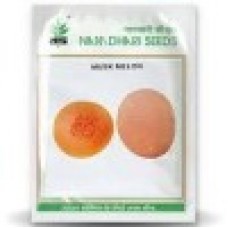 Namdhari Muskmelon NS 7455 (915)