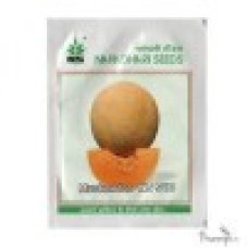 Namdhari Muskmelon NS 910