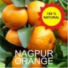 Nagpur Orange - Santra - 2 Kg 