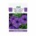 DAS agro seeds ( Petunia N C Blue )