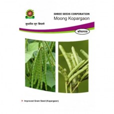 Shree Moong - Green Gram Seeds