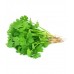 CORIANDER- DHANIA  Vegetable Seeds