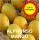 Devgad Alphonso Premium  Mango - Hapus - 1 Dozen