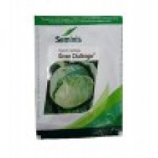 Seminis Cabbage Seeds Green Challenger F1-10 Gram