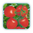 Tomato Seeds (19)