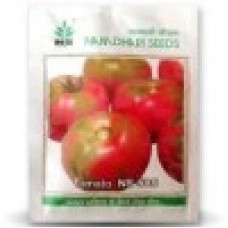 Namdhari Tomato (Acidic GS) NS 585
