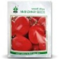 Namdhari  Tomato (Oval) NS 501(6H-81)