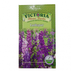 Victoria Larkspur Flower Seed