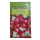 Victoria Vinca Flower Seed