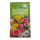 Victoria Gazania Flower Seed