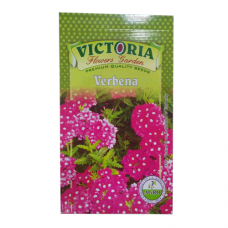 विक्टोरिया वर्बेना फूल बीज